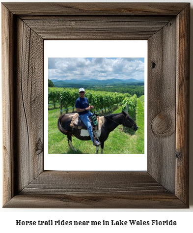 horse trail rides near me in Lake Wales, Florida